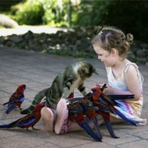 friendly