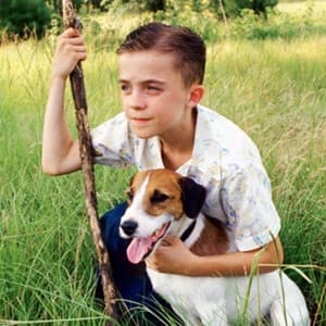 pet