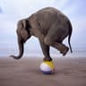 balance