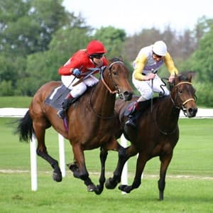 compete