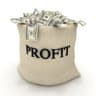 profit