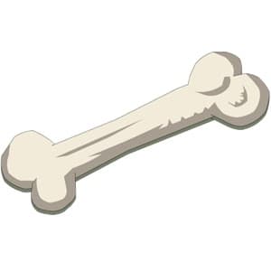 bone