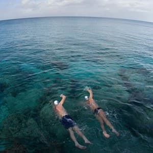 swim