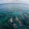 swim