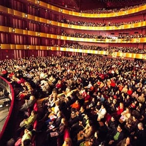 audience