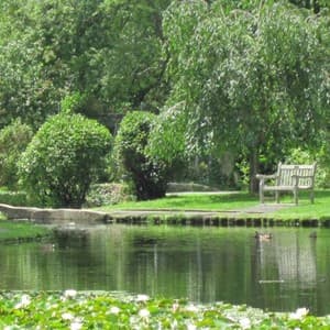 landscape