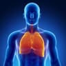 lung