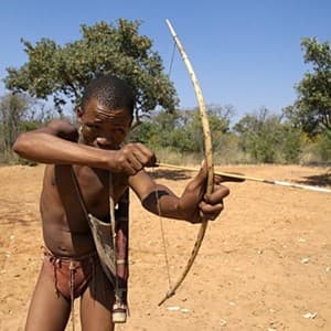 bow