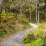 path