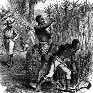 slave