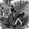 slave