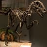 dinosaur