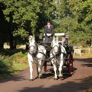 carriage