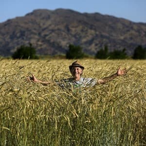 grain
