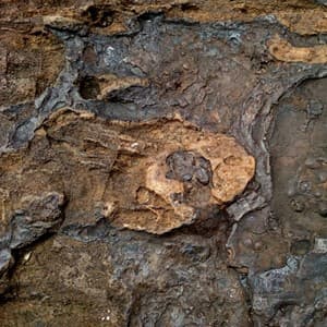 mineral