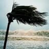 hurricane