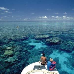 reef