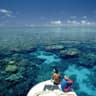 reef