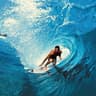 surf