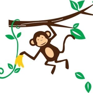branch