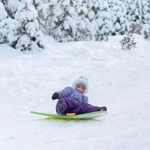 sled