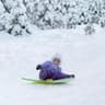 sled