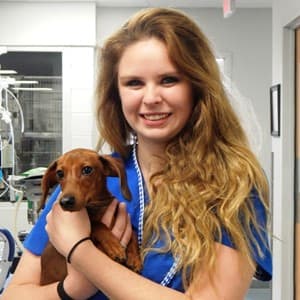 veterinarian