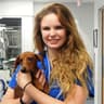 veterinarian