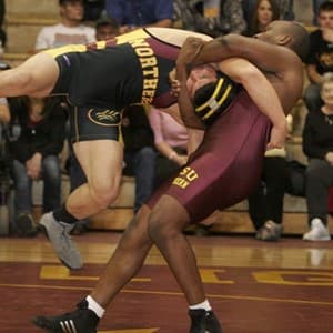 wrestle