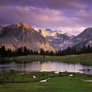 wilderness