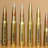bullet