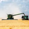 harvest