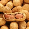 nut