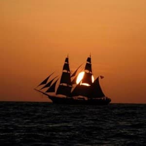 navigate
