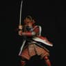 warrior