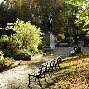 bench