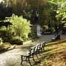 bench