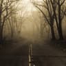 mist