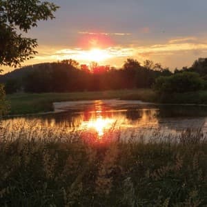 dawn