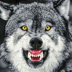 fierce