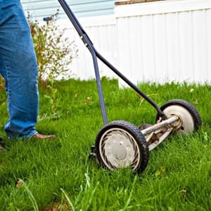mow