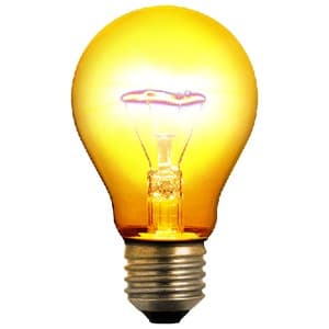 bulb