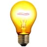 bulb