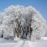 frost