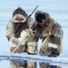 polar