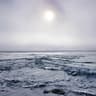 arctic