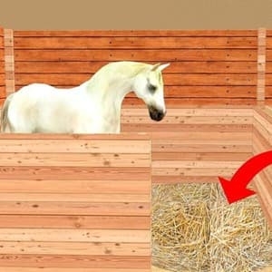 hay