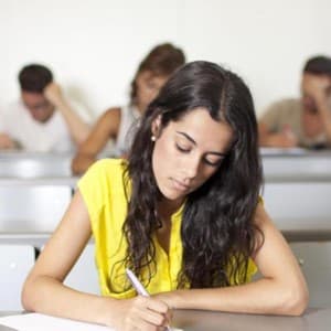 essay