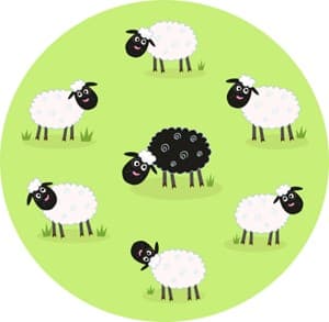 flock