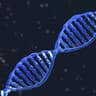 genome